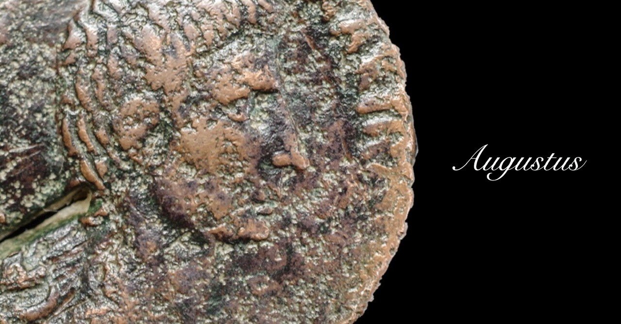 アンティークコインの世界 〜最初の一枚〜｜Shelk🦋