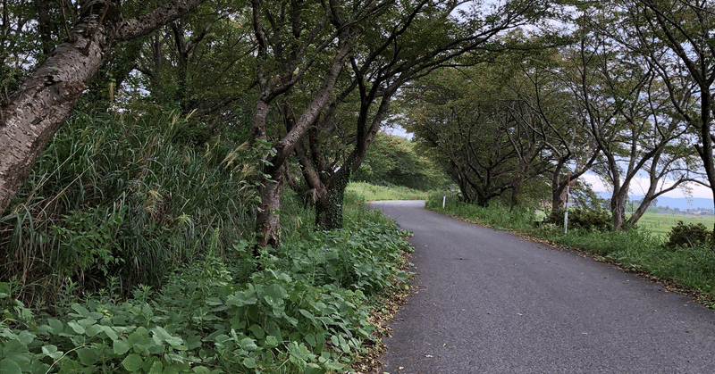 自分の思いに蓋をしないで！！