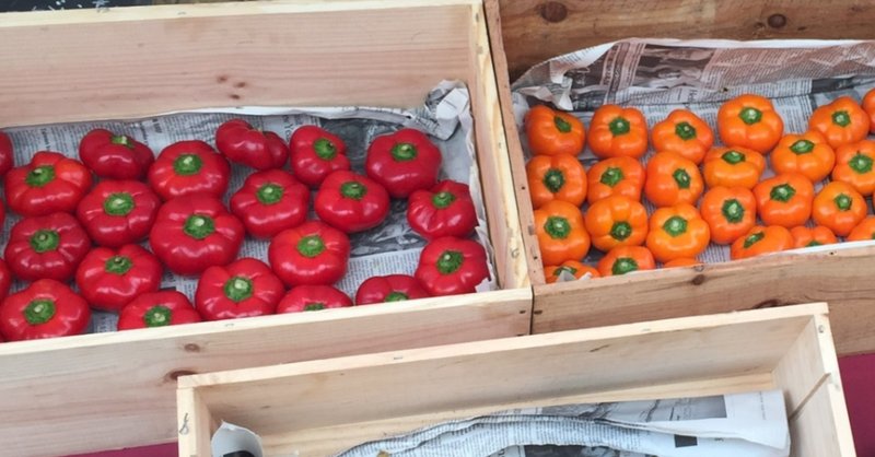 なつかしい人に会うということ はつなぎ Note