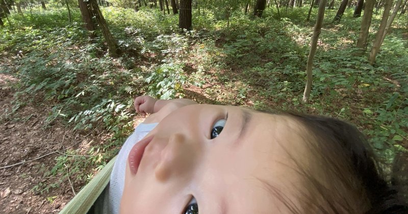 田舎暮らしでの赤ちゃんのお散歩 公園編 こぐま日和 伊那谷 田舎で子育て Note 田舎暮らしでの赤ちゃんのお散歩 公園編 こぐま日和 伊那谷 田舎で子育て Note