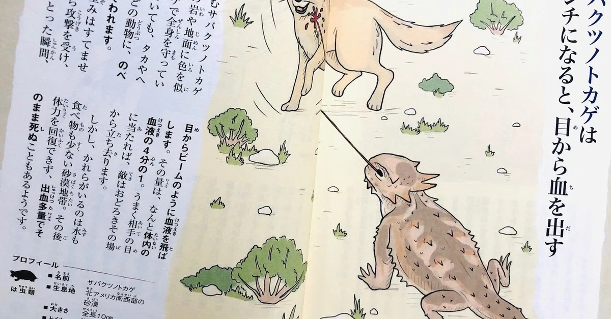 画像3