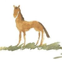 ウオッカはツンデレ オルフェは俺様 競走馬たちの面白エピソードが満載 おがわじゅり的21世紀名馬列伝 ゆずゆ Note ウオッカはツンデレ オルフェは俺様 競走馬たちの面白エピソードが満載 おがわじゅり的21世紀名馬列伝 ゆずゆ Note