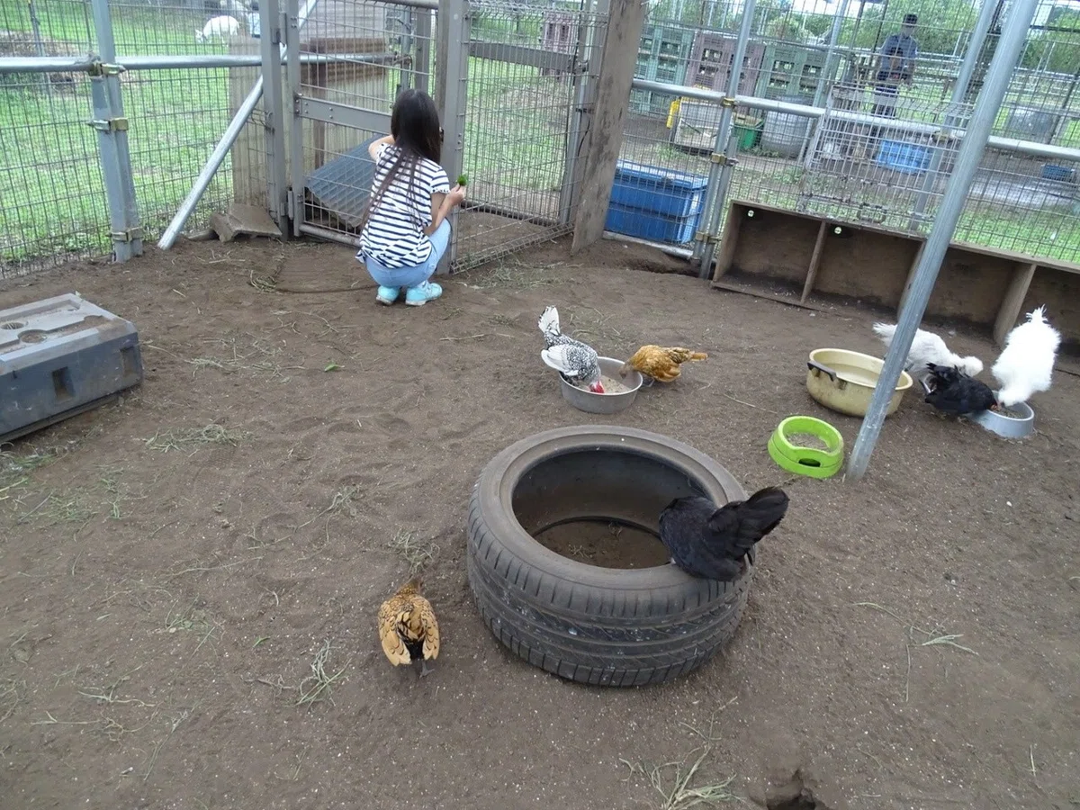 画像12