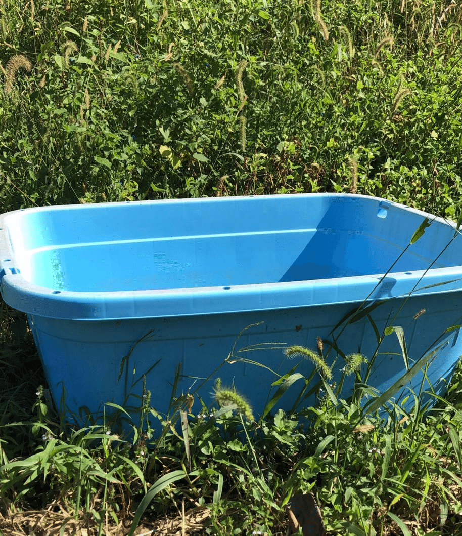 Vol 42 雨水を貯める ころのにわ 自然菜園 Note Vol 42 雨水を貯める ころのにわ 自然菜園 Note