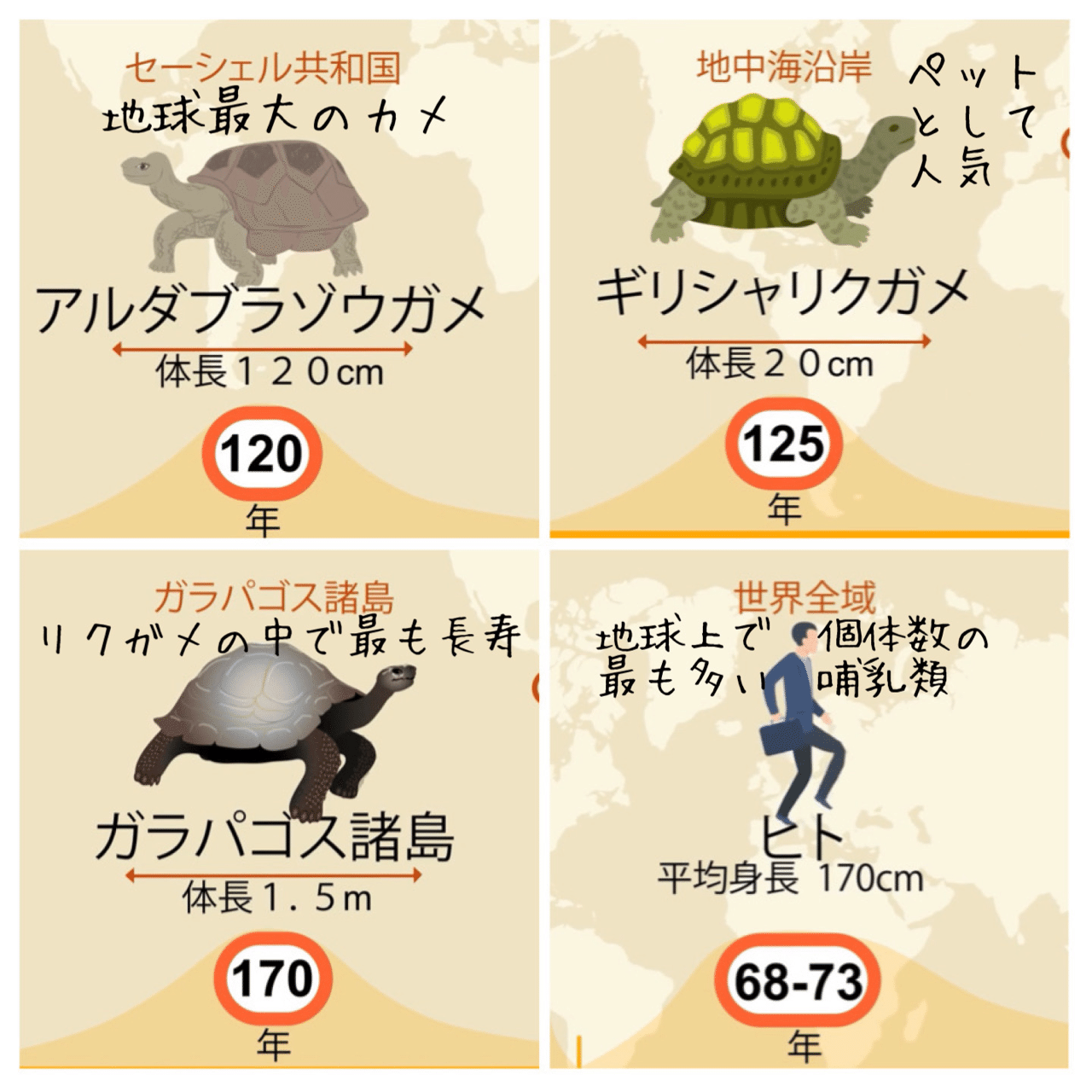 生物の寿命 ノリノリ Note