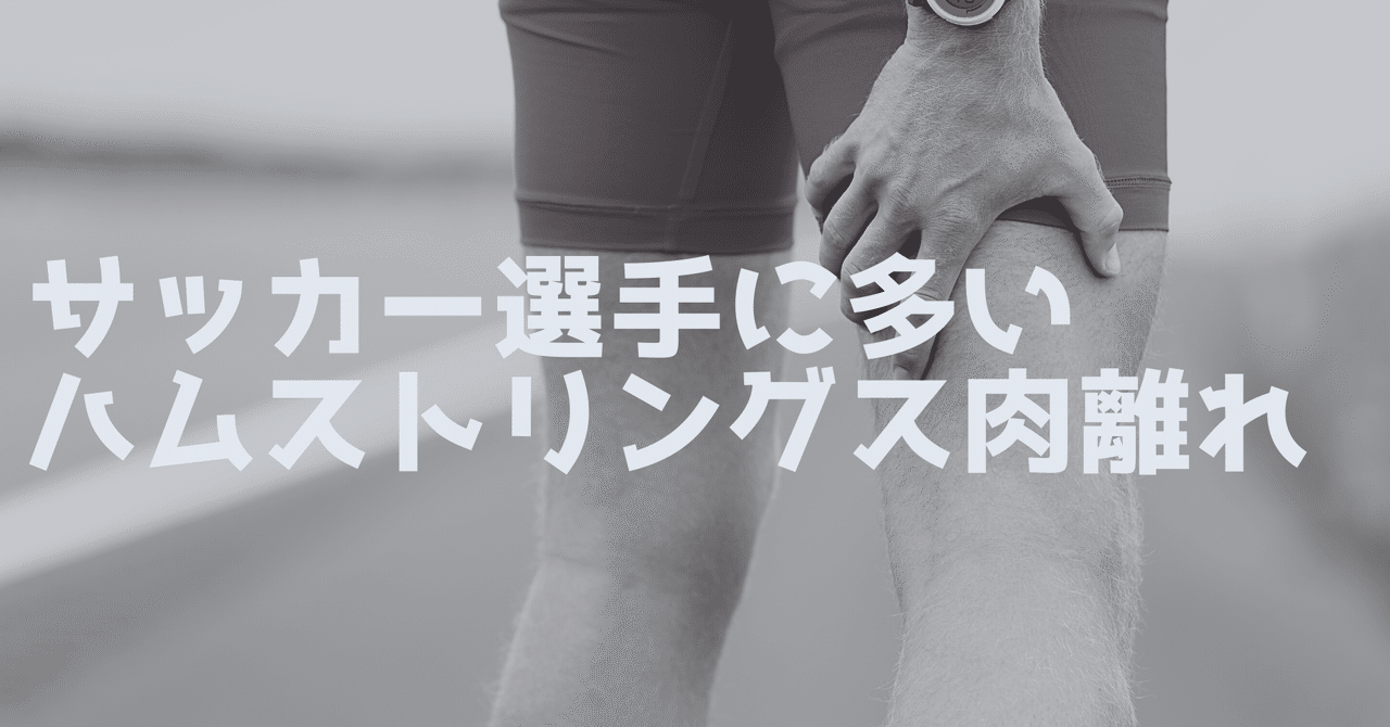 サッカー選手に多いハムストリングス肉離れ サッカー選手 向けフィジカルサポートnote 石橋 哲平 Note サッカー選手に多いハムストリングス肉離れ サッカー選手 向けフィジカルサポートnote 石橋 哲平 Note