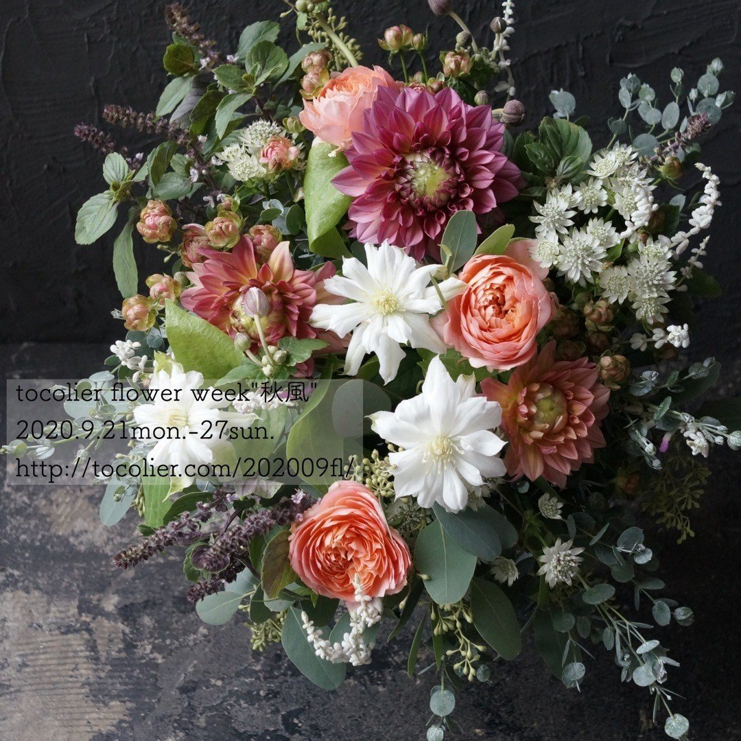 バラ ロマンティックアンティーク Tocolier Note