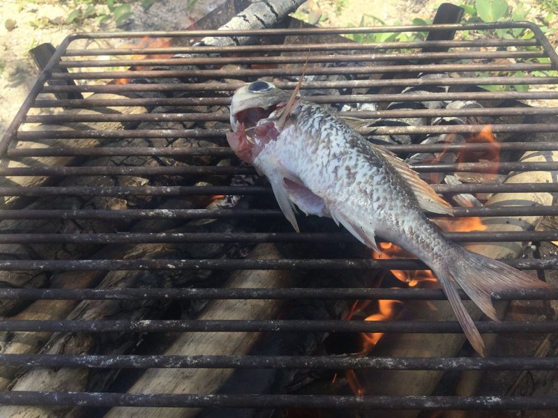 ついた魚を拾った薪で焼いて食べる
