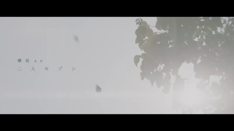 永久保存版 映画ネタバレあり ほぼ全曲語り尽くします 欅坂大辞典 五年間の欅の轍と櫻への軌道 とーや Note