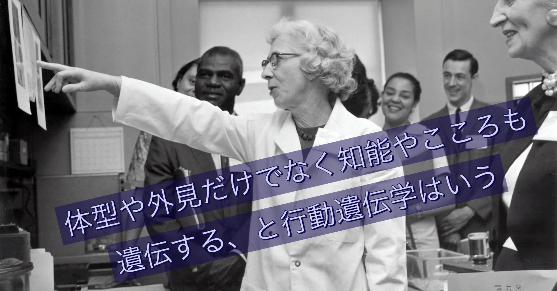 体型や外見だけでなく知能やこころも遺伝する と遺伝行動学はいう えんどう 遠藤涼介 Note