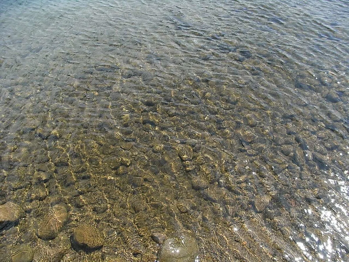 夏旅 2007 08 26 (15)