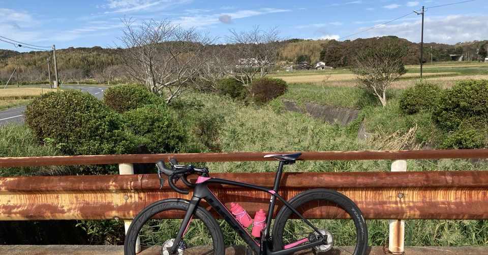 9月26日 土 Leomoリモートフィッティングその後 森 悠太 Team Pelicans Note