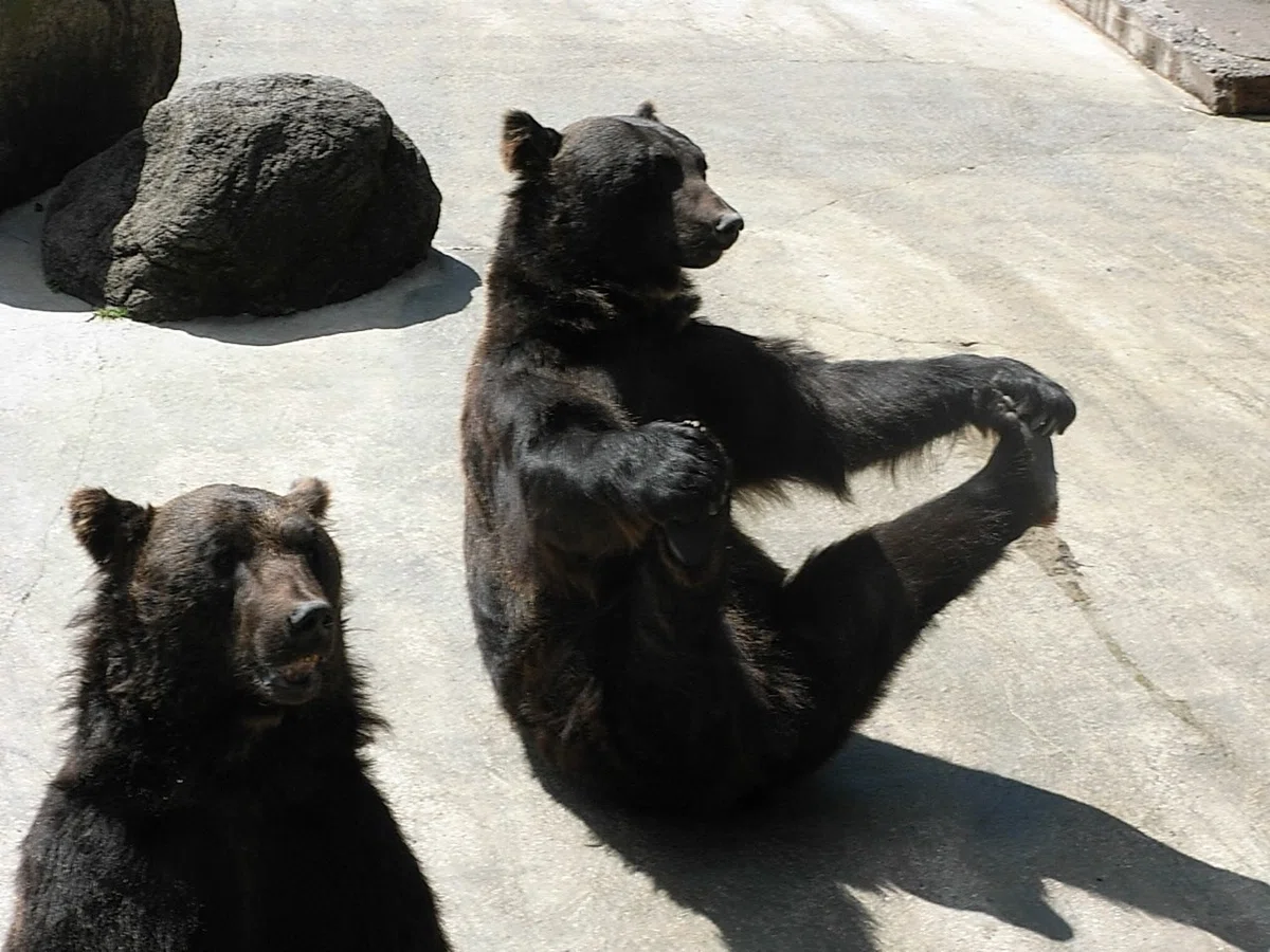 夏旅 2007 08 28 (41)