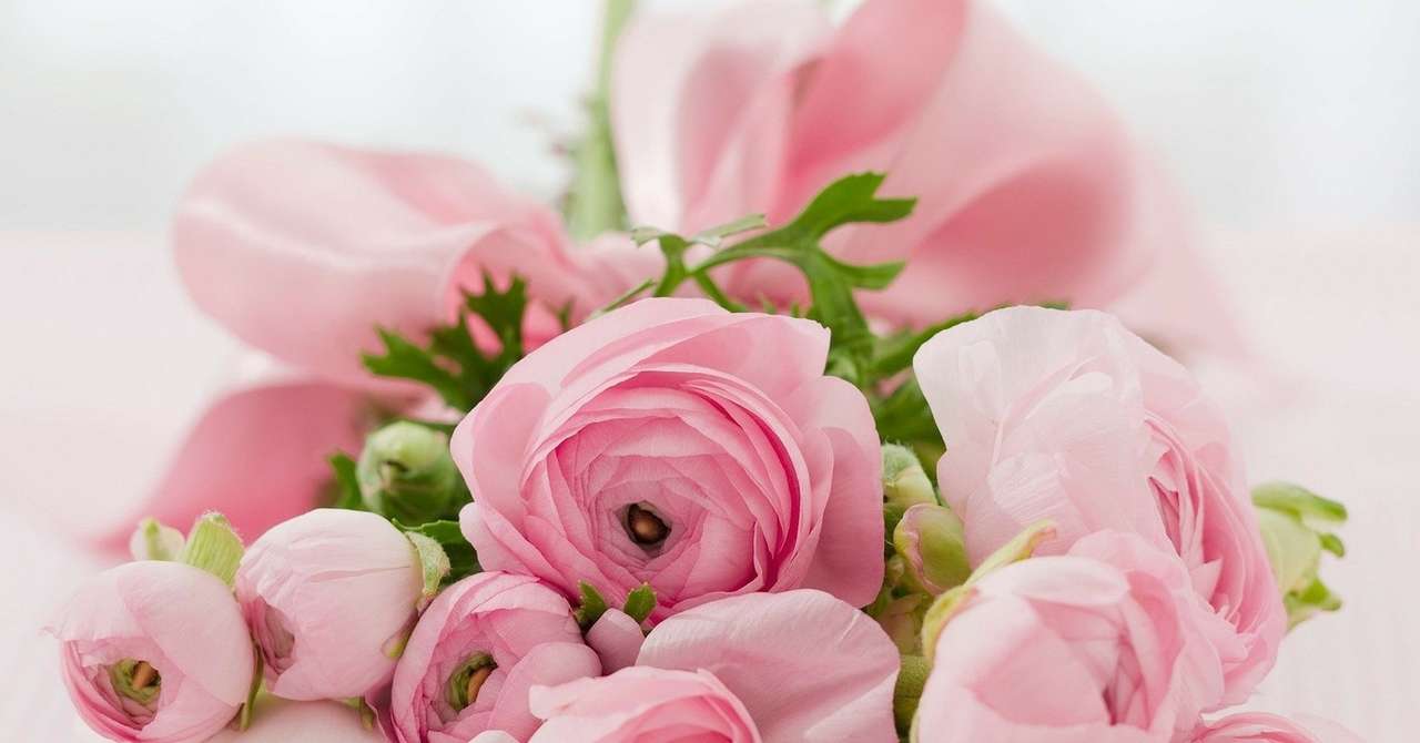 株式会社パコム様 コーポレートサイトをinformakerで刷新し 求人情報の発信力を改善されました 株式会社プランユーケー Note