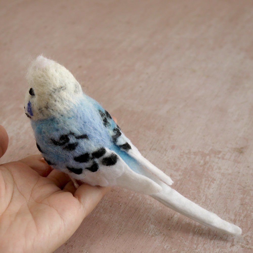 くせ毛のセキセイインコちゃん 手作りの小鳥hato Hana はと はな Note