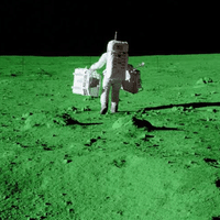 ヤシの木に降る雪 Green Moon Room Note