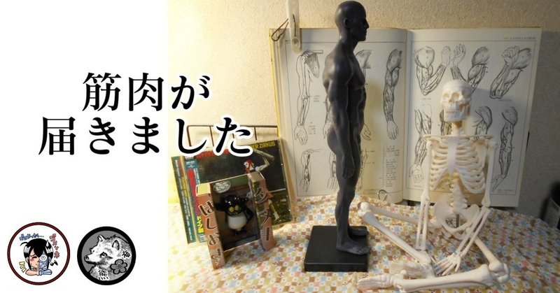 筋肉が届きました 梅熊大介 Note