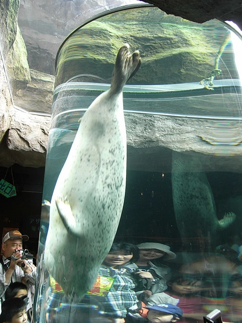 夏旅 2007 08 29 (13)