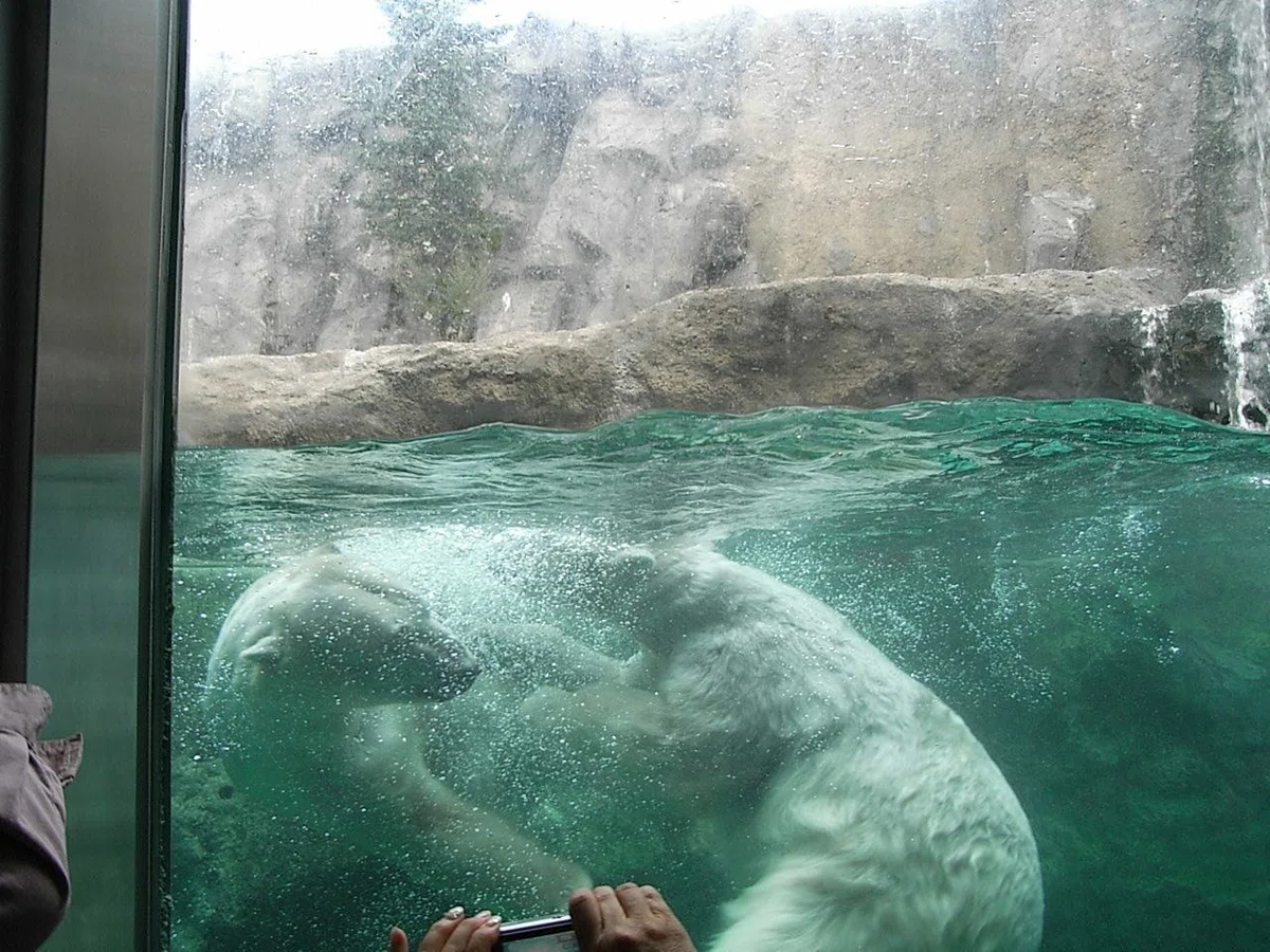 夏旅 2007 08 29 (19)