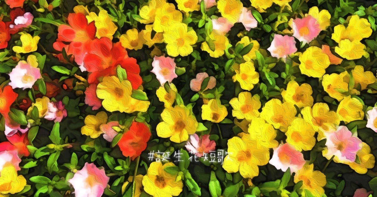 9月26日 誕生花は花滑莧 誕生花短歌 御子柴 流歌 Note 9月26日 誕生花は花滑莧 誕生花短歌 御子柴 流歌 Note