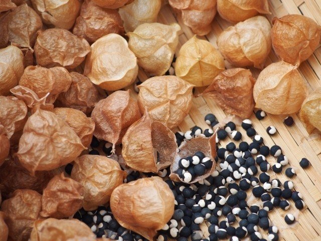 あなたに絡みつくしがらみの解釈 屋敷ユリナ Note