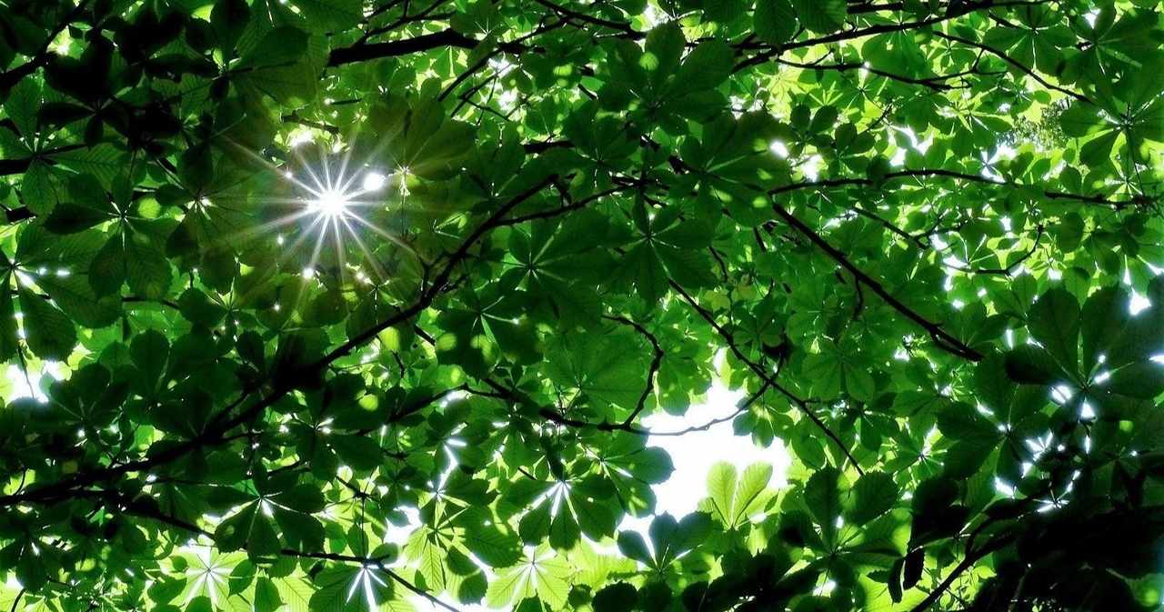 アニメ の新着タグ記事一覧 Note つくる つながる とどける