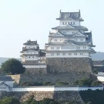 三木 大三