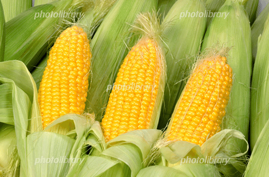 好きな野菜ランキングｔｏｐ５ 新垣結衣さん 勇気人生 会社成長応援コンサルタント ユウ ケンイチ Note