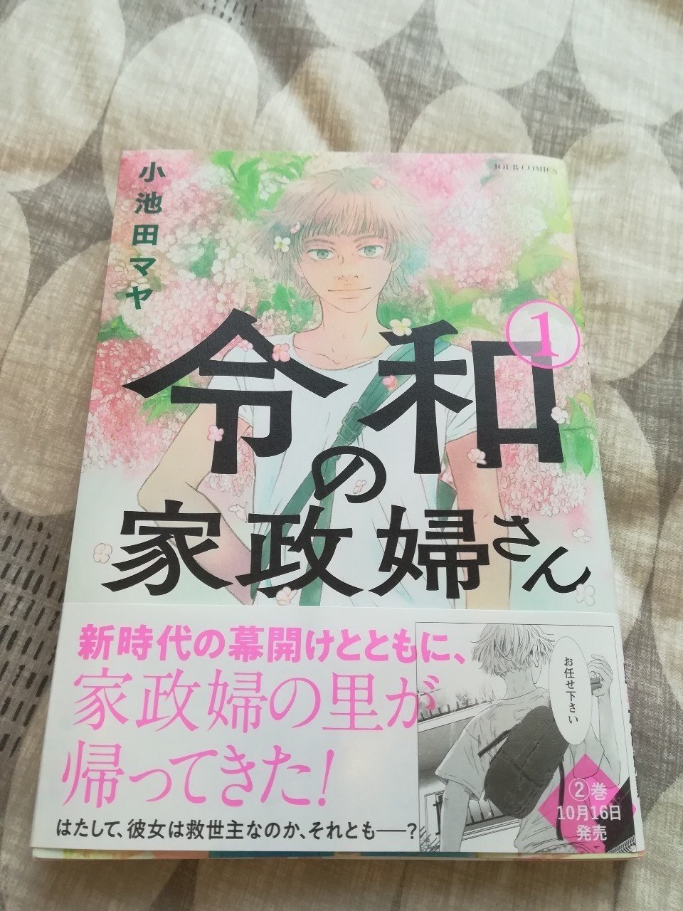 小池田マヤ 令和の家政婦さん 感想 傍観妖精 Note