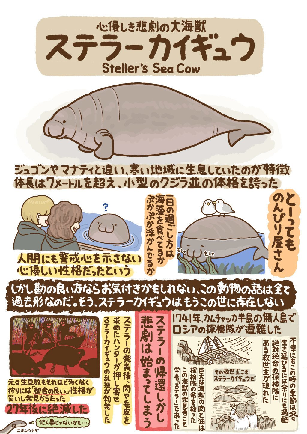 いきもの図鑑 の新着タグ記事一覧 Note つくる つながる とどける