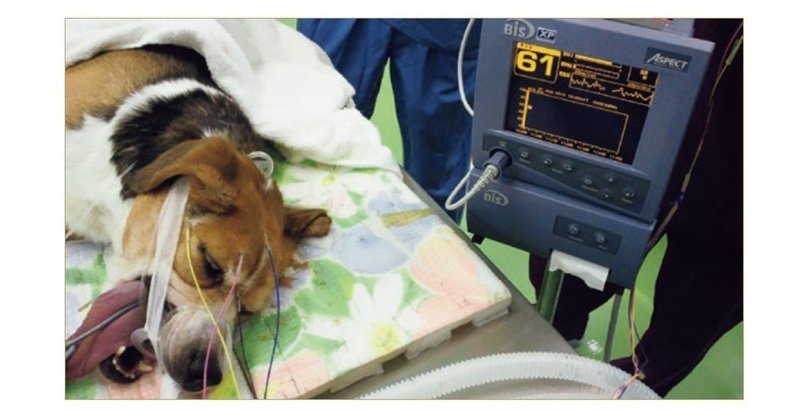 セボフルラン の新着タグ記事一覧 Note つくる つながる とどける