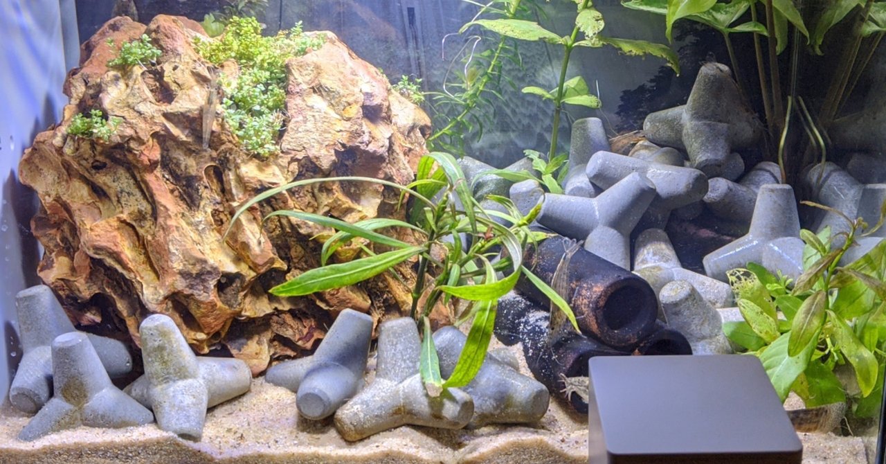 底砂入替 町田 奈桜 Nao Machida Note