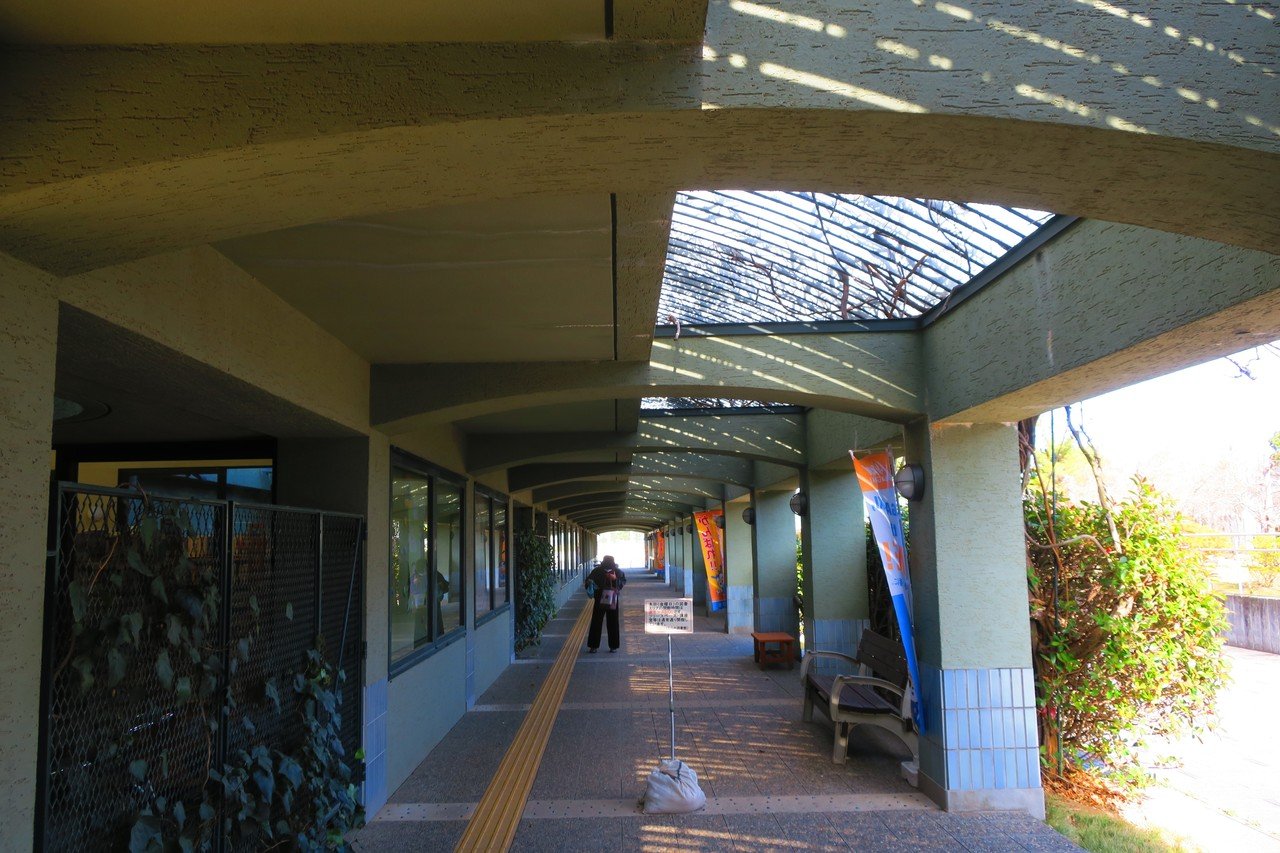 私選 デザインが楽しい図書館 オラシオ Note 私選 デザインが楽しい図書館 オラシオ Note