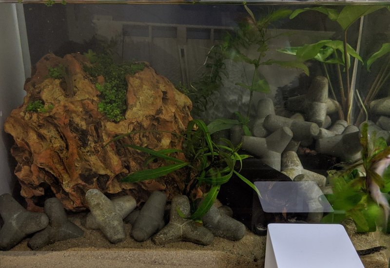 底砂入替 町田 奈桜 Nao Machida Note