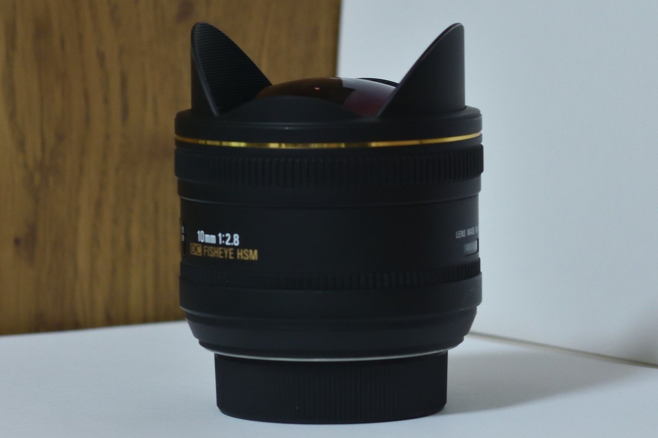 シグマの魚眼レンズ、10mm F2.8 EX DC Fisheye HSMをNikon 1 J5 シグマの魚眼レンズ、10mm F2.8 EX DC Fisheye HSMをNikon 1 J5
