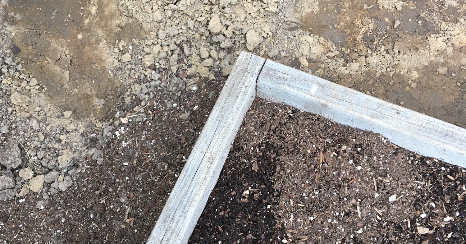 初心者コンポスター日記１ Tiger Shark Note