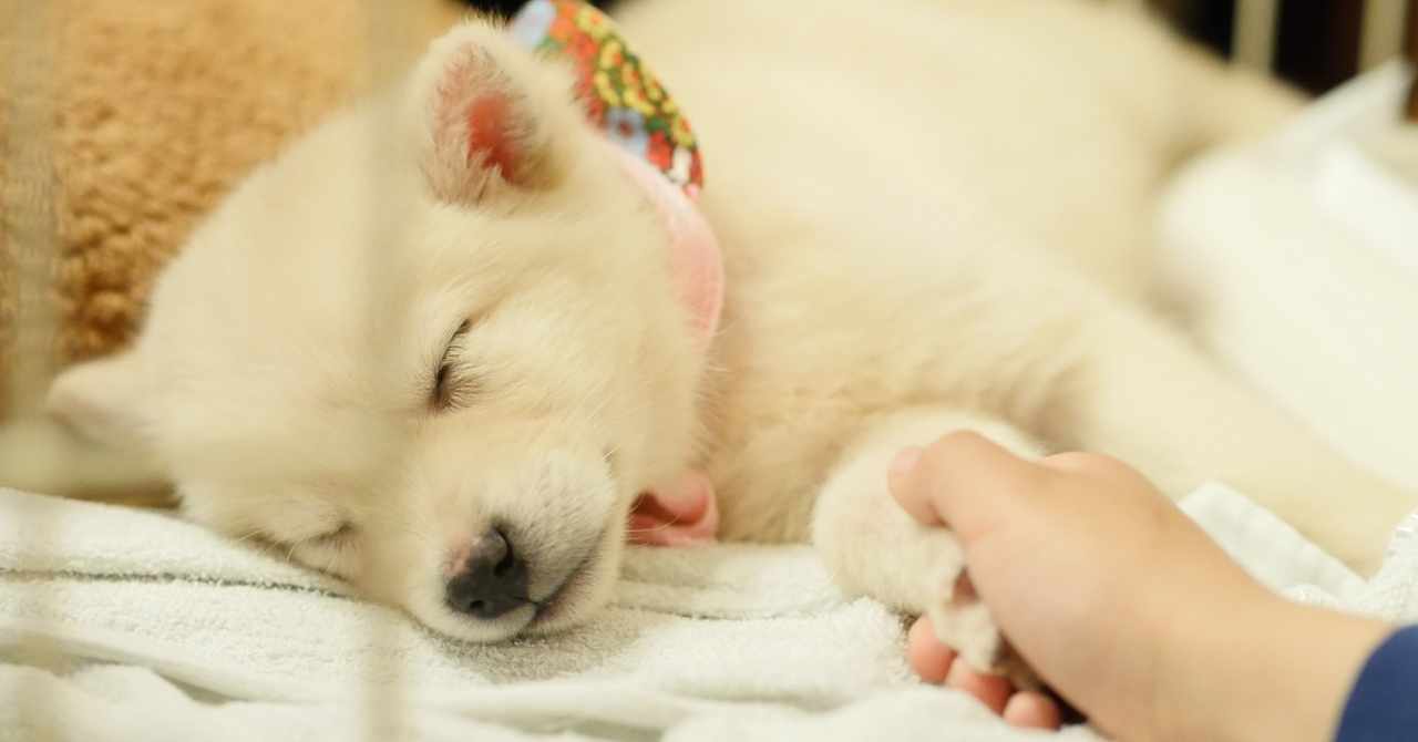 タッチング の新着タグ記事一覧 Note つくる つながる とどける