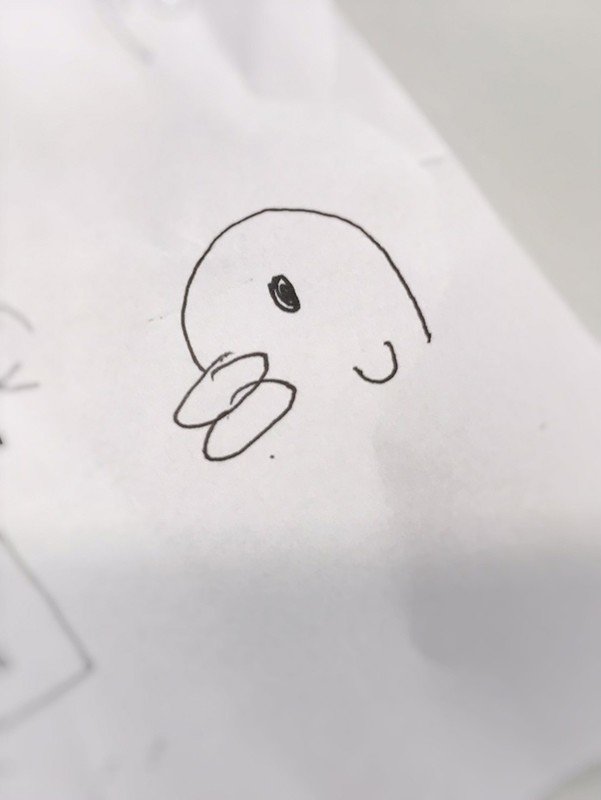 すとぷり Strawberry Prince 絶賛ご予約受付中 Dvd盤には実写学力テストも 株式会社stpr 株式会社stpr Note