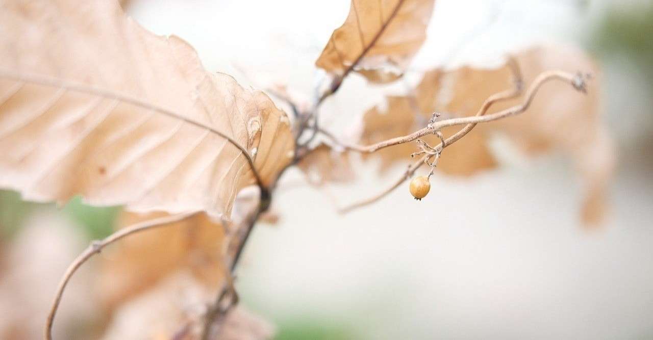 アニメ フルーツバスケット 2nd Season 第25話感想 ネタバレあり ヌマサン Note