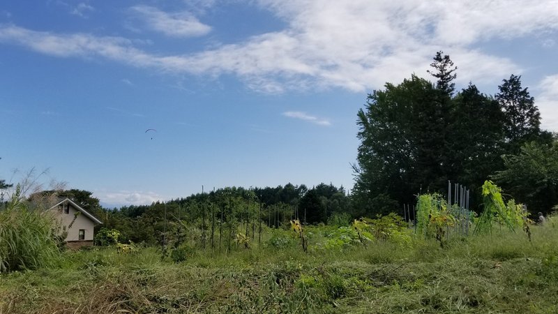 田舎暮らしでの赤ちゃんのお散歩 公園編 こぐま日和 伊那谷 田舎で子育て Note