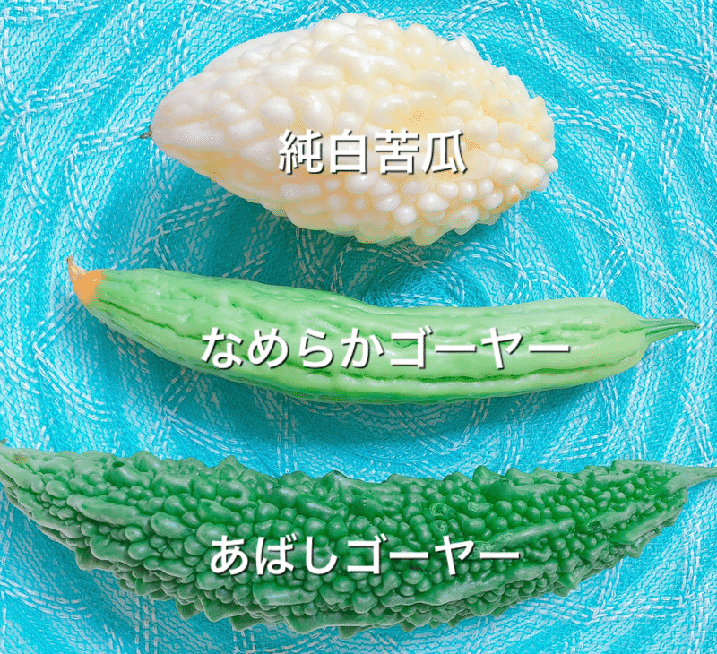 沖縄島野菜 ゴーヤー 沖縄料理研究家 宮澤かおる Note