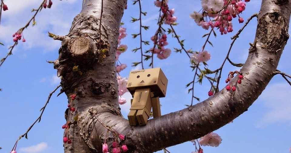 楽しい事が無い つまらない人生を変える方法を教えます 悩みのオオカミ Note