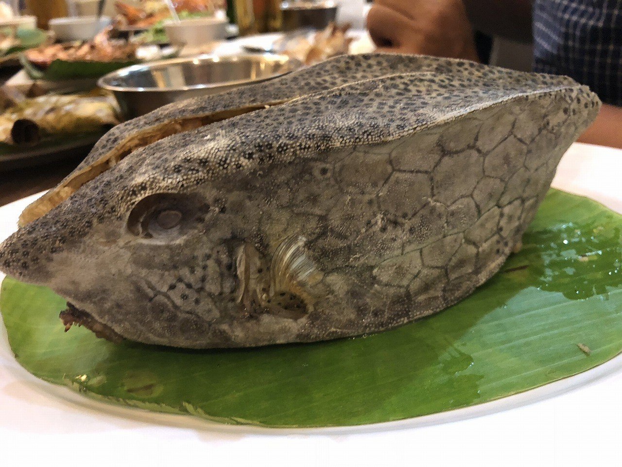 ふぐ毒に注意 見た目もたのしいハコフグを食べるマカッサル Kenhappy Note ふぐ毒に注意 見た目もたのしいハコフグを食べるマカッサル Kenhappy Note