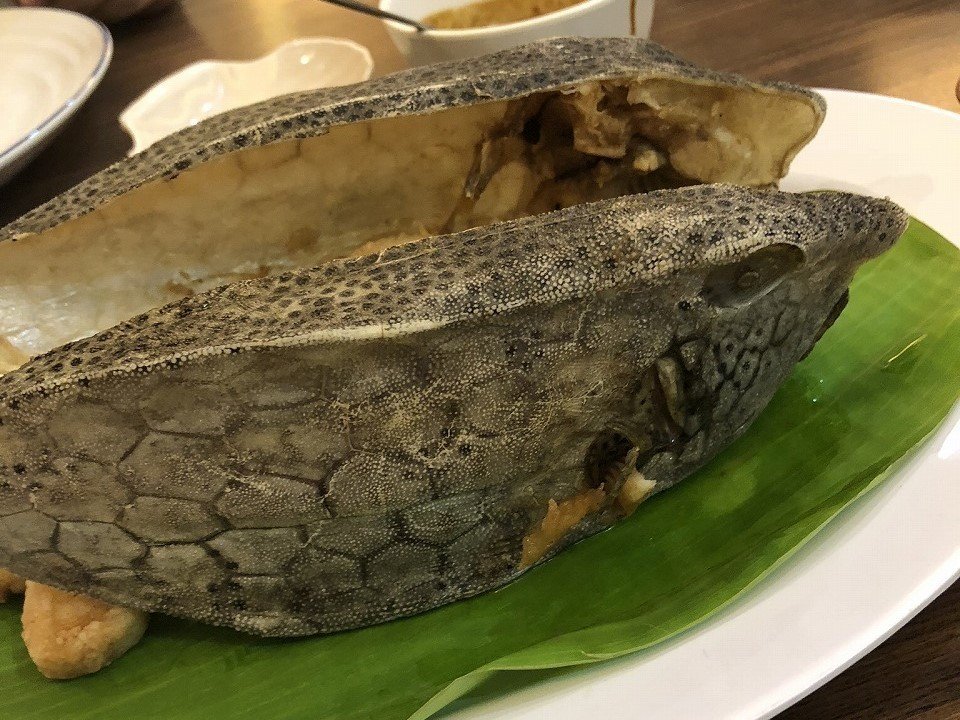 ふぐ毒に注意 見た目もたのしいハコフグを食べるマカッサル Kenhappy Note ふぐ毒に注意 見た目もたのしいハコフグを食べるマカッサル Kenhappy Note