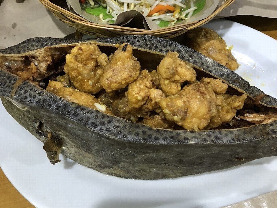 ふぐ毒に注意 見た目もたのしいハコフグを食べるマカッサル Kenhappy Note ふぐ毒に注意 見た目もたのしいハコフグを食べるマカッサル Kenhappy Note