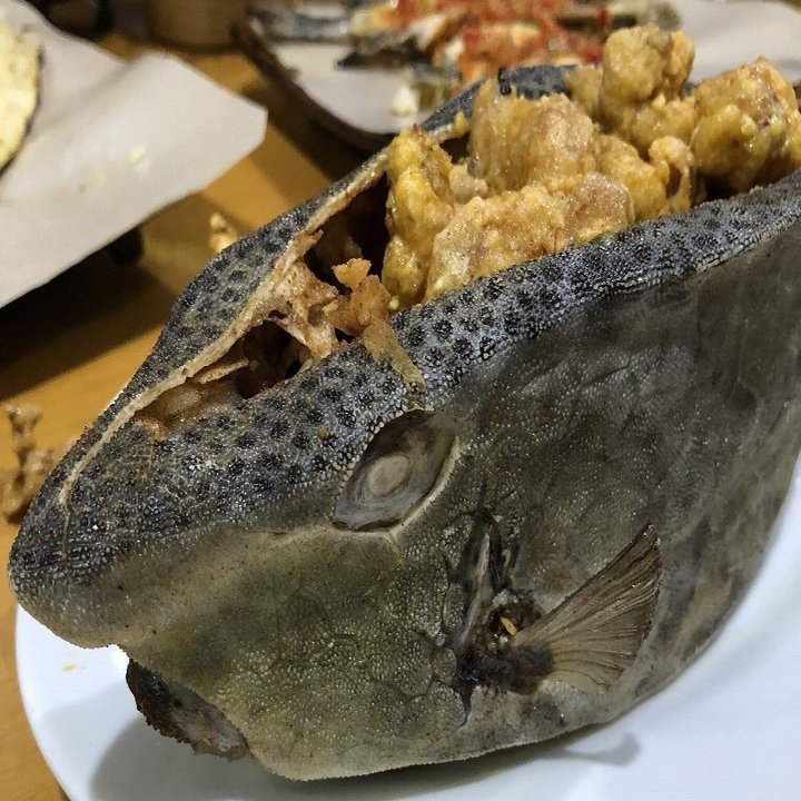 ふぐ毒に注意 見た目もたのしいハコフグを食べるマカッサル Kenhappy Note