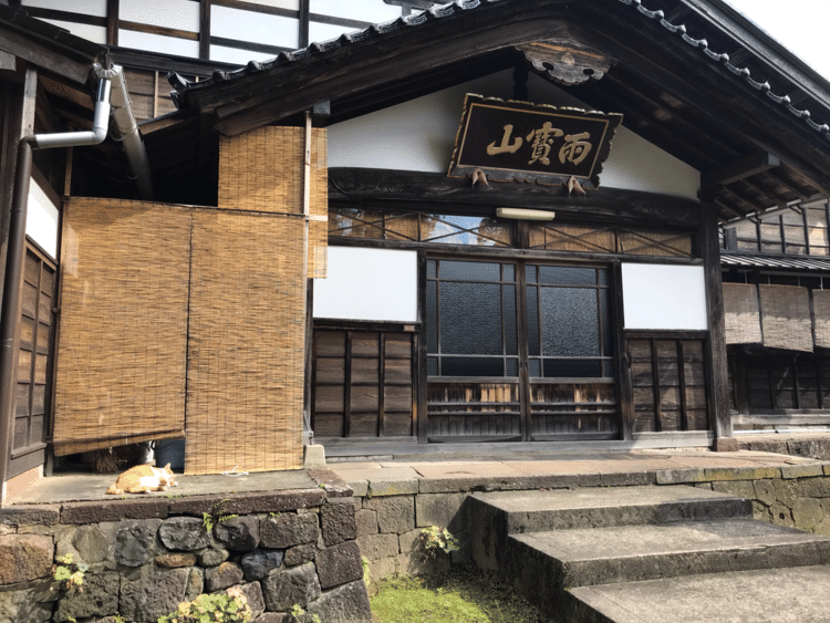 金沢東山にお寺がいくつかある。観光地として人気のひがし茶屋街を抜けたところ。
5年前、この辺りを歩いていた時に、お寺で猫に会った。また歩いてみたいなと、またその子に会えるかなと、久しぶりに行ってみたら…、いました。