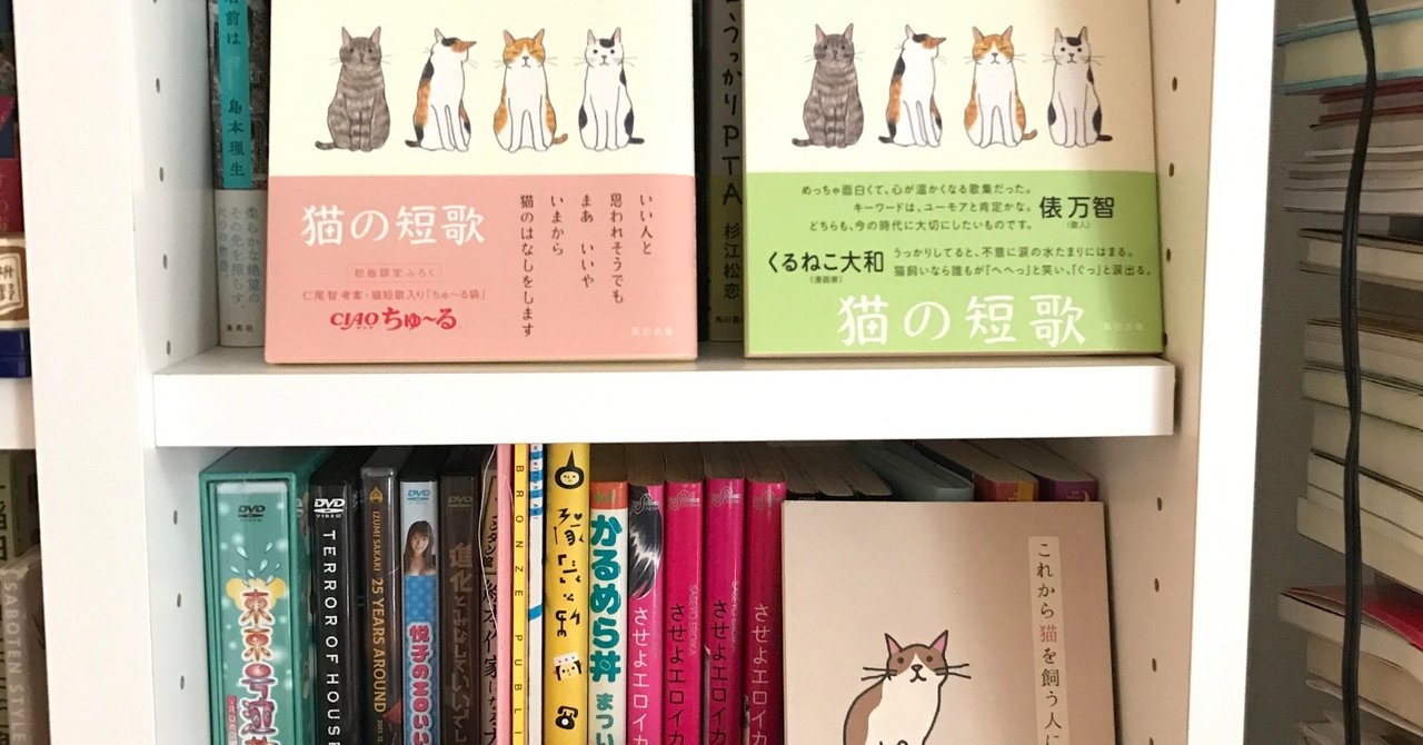 佐藤真由美 の新着タグ記事一覧 Note つくる つながる とどける