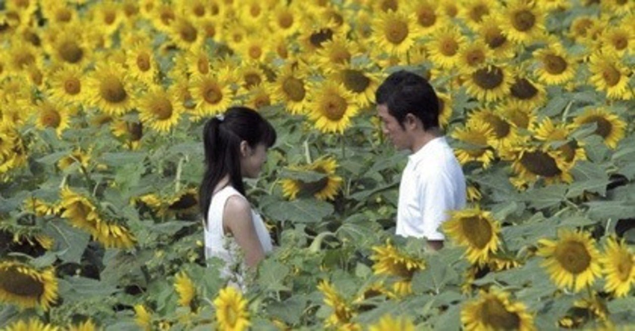 竹内結子と いま 会いにゆきます と ゴリさん Note 竹内結子と いま 会いにゆきます と ゴリさん Note