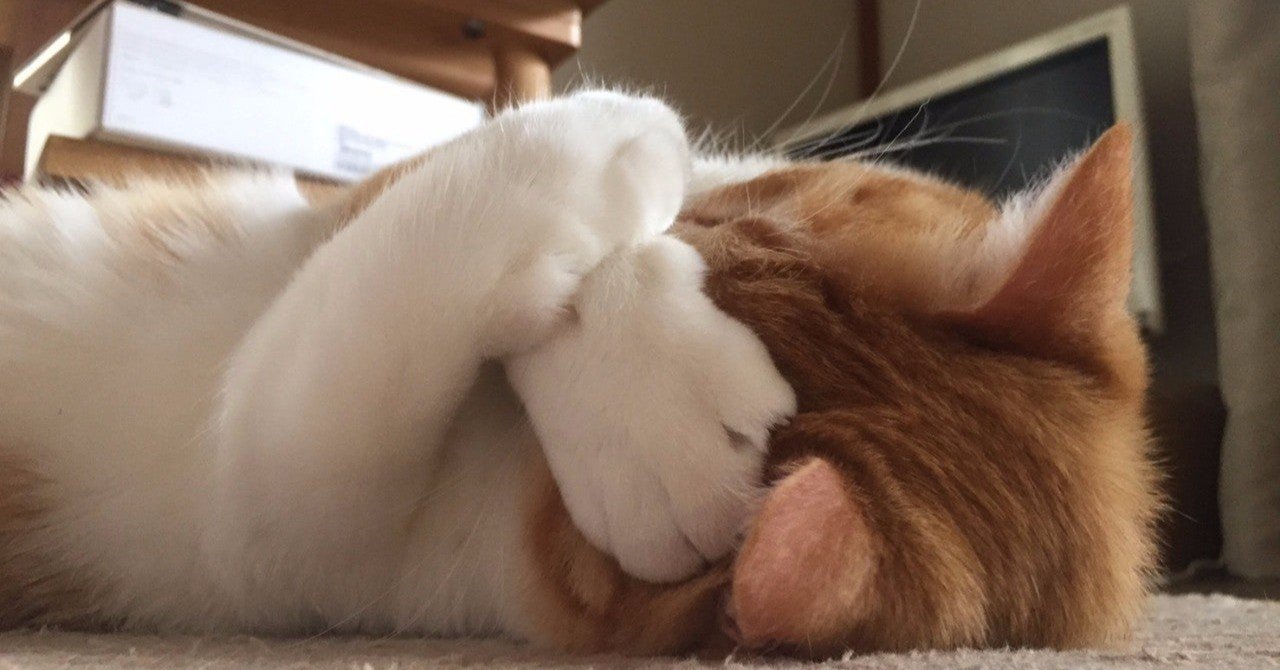 見せたくない自分を知られることが嫌な人｜公認心理師 蔵野まどか｜心理カウンセリングCREAR